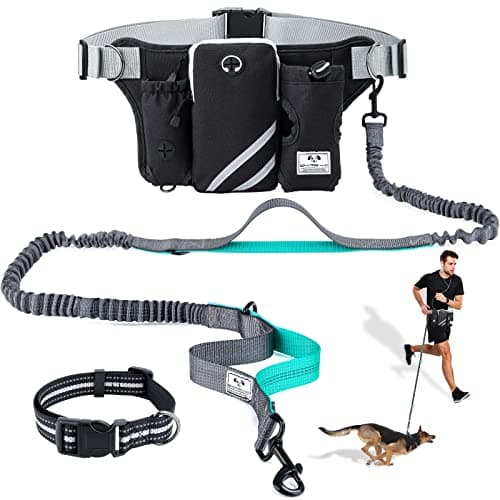 SHINE HAI Retractable Hands Free Dog Leash with Dual Bungees for Dogs, Adjustable Waist Belt Bag, Reflective Stitching Leash for Running Walking Hiking Jogging Biking (for 1 Dog) - Image 1