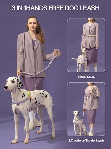 Maogoublue 5FT Dog Training Leash, Heavy Duty Nylon Rope Dog Leashes with 360° Swivel Aluminum Clip and Comfortable Padded Handle No Pull Reflective Leash for Medium Large Dogs - Image 2