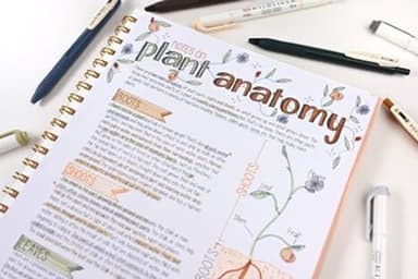 Zebra Pen Sarasa Clip Vintage and Mildliner Neutral Set, Ideal for Bible Highlighting, No Bleed, School Supplies and Teacher Supplies, Fine Point, Assorted Colors, 14-Pack (10114) - Image 4