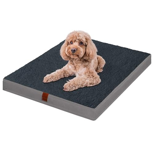 Easy-Going Dog Bed for Small Dogs, Egg Crate Foam Dog Bed with Removable Washable Cover and Non-Slip Bottom, Waterproof and Machine Washable Pet Bed Cover (20x15x3 in, Dark Blue) - Image 1