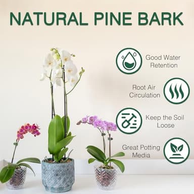 Orchid Potting Mix,Orchid Bark Potting Mix,2QT Natural Orchid Bark Potting Mix with Pine Bark & Perlite for Orchid Potting,Enhanced Drainage,Air Flow and Root Ventilation - Image 3