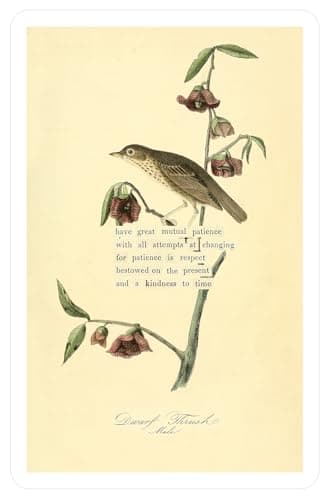 An Almanac of Birds: 100 Divinations for Uncertain Days - Image 7