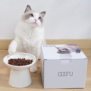 CEEFU Extra Wide Elevated Ceramic Cat Bowl - 6.2" Shallow Dish for Whisker Fatigue Relief, 5" Height for Easy Feeding, Lead & Cadmium Free, Durable Raised Cat Food Bowls, White - Image 4