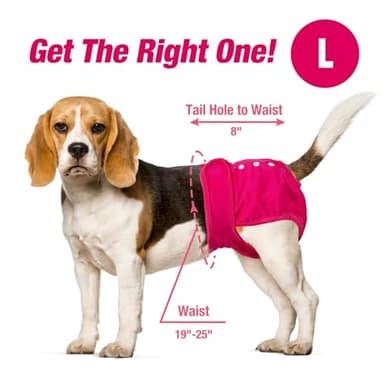Pet Soft Washable Female Diapers (3 Pack) Female Dog Diapers, Comfort Reusable Doggy Diaper for Girl Dog in Period Heat (Classy, L) - Image 4