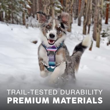 Embark Adventure Dog Harness, Reflective Trim No Pull Harness for Medium Sized Dog - Military Grade Nylon, Front Clip with Gel Lined Handle. Soft & Padded Puppy - Image 5