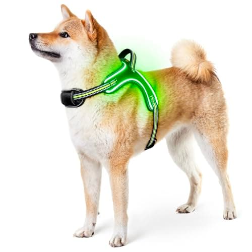 Light Up Dog Harness Rechargeable No Pull Rainproof Dog Vest with Handle for Night Walking, Lighted Dog Harness for Small Medium Large Dogs (Green, M) - Image 1