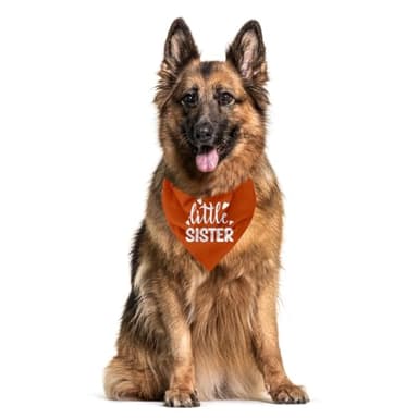 Little Sister Dog Bandana, Little Sister Dog Shirt, Gender Reveal Trianale Bibs Accessories, Pet Announcement Plaid Scarf Gender Reveal Accessories, Dog Bandana for Small Medium Dogs (B27) - Image 3