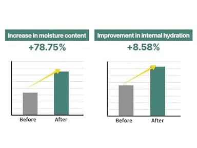 S. Nature AQUA SQUALANE MOISTURIZING CREAM | Face Moisturizer for Dry and Sensitive Skin, Vegetable Squalane 150,00ppm, Long-lasting Hydration, Pore Care Cream, Korean Skin Care (2.02 Fl Oz, 60ml) - Image 4