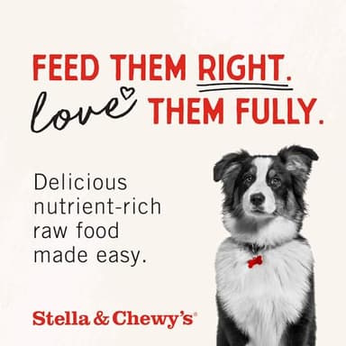 Stella & Chewy's Freeze-Dried Raw Chicken Breast Dog Treats - Single Ingredient, No Additives - Premium Training Treats - Perfect For Picky Eaters - 2.75oz Bag - Image 9