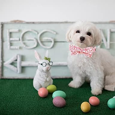 Easter Dog Collar - Pink Bunny Dog Collar Bows for Dogs Bowtie Pet Collar Adjustable Dog Collar Girl Boy Dog Collar for X-Small Dogs - Image 6