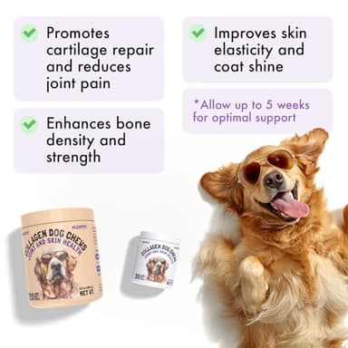 Collagen Dog Chews for Joint & Skin Health 120 Soft Chews All Breeds Mobility, Cartilage Repair & Pain Relief Hip & Joint Skin Coat Anti-inflammatory Support Eggshell Membrane Senior & Adult Dogs - Image 2