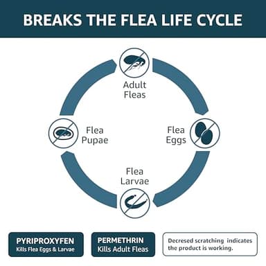Amazon Basics Flea, Tick & Mosquito Topical Treatment for X-Large Dogs (over 55 pounds), 6 Count (Previously Solimo) - Image 3