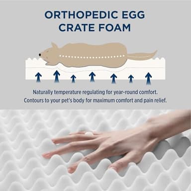 Bedsure Dog Bed Medium Size Dog - Comfy Flat Puppy Beds with Removable Washable Cover, Orthopedic Egg Crate Foam Pet Mat, Suitable for Pet Up to 30 lbs - Image 3