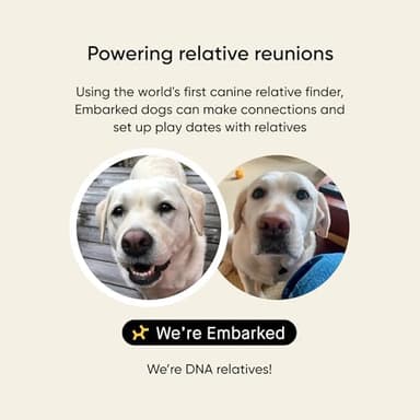 Embark Breed & Health Kit - Dog DNA Testing Kit - Discover Breed, Ancestry, Relative Finder, Genetic Health, Traits, Allergy Risk Scores - Image 7