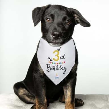 Happy 3rd Birthday Dog Bandana - Triangle Scarf Party Supplies for Pet Puppy - Lover Gifts and Accessories - Image 6