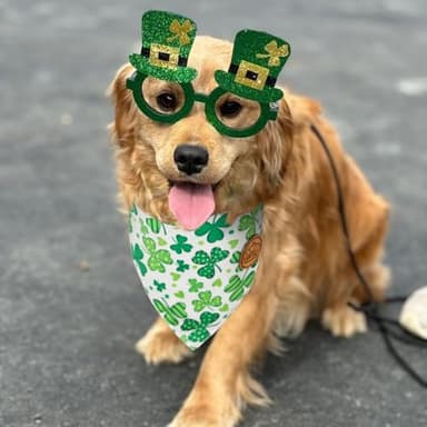 CROWNED BEAUTY St Patricks Day Dog Bandanas Reversible Small 2 Pack, Shamrocks & Gold Set, Green Plaid Stripes Adjustable Triangle Holiday Scarves for Dogs Cats Boy Girl Pets DB158-S - Image 2
