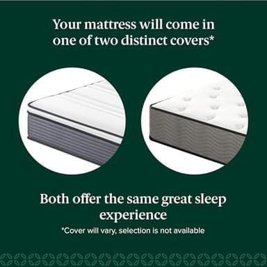 ZINUS 10 Inch True Support Hybrid Mattress [New Version], Queen, Fiberglass Free, Medium Feel, Motion Isolation, Certified Safe Foams & Fabric, Mattress in A Box - Image 3