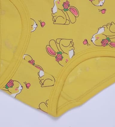 Boboking Girls Soft Briefs Little Kids Girls Comfortable Underwear (Pack of 6) 2-3T - Image 4