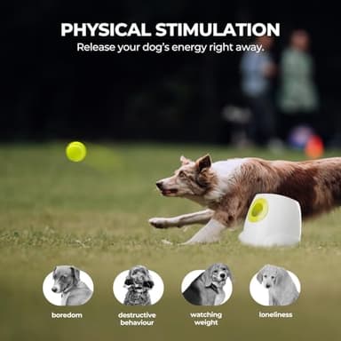 ALL FOR PAWS Automatic Dog Ball Launcher for Medium to Large Dogs, Interactive Tennis Ball Thrower, Rechargeable Dog Toy Mental Stimulation Training Game for Energetic Dogs - Image 3