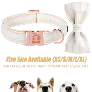 MR.CHUBBYFACE Orange Dog Collar with Bowtie, Cute Fall Pet Collar for Girl Boy Female Dogs, Adjustable Cotton Puppy Collar with Metal Buckle for Large Dogs - Image 2