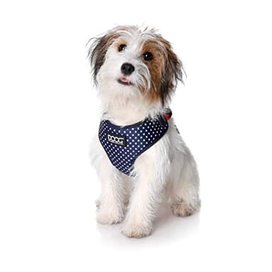 DOOG - All Weather 'Neoflex" Dog Harness, Flexible Neoprene Breathable Mesh Padding Light Wetsuit Material Water Friendly Draws Moisture Away Fir Skin Easy Fit Small, Medium, Large, XL Soft Comfortable 2 Point Adjustable Leash Training Run Walk Swim - Image 3