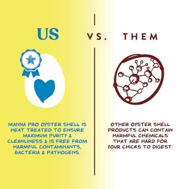 Manna Pro Crushed Oyster Shell for Chickens – Calcium Supplement for Laying Hens to Support Strong Eggshells – Natural Poultry Mineral Feed for Backyard Chickens – 5 lb Bag - Image 5