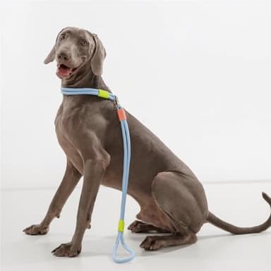 Maogoublue 2.29FT Dog Leash for Small Medium Large Dogs with 360° Rotating Alloy Buckle, Innovative Design, Adjustable Comfortable Handle and Sturdy Polyester Material (Pink) - Image 9