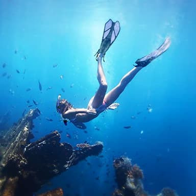 ZEEPORTE Mask Fin Snorkel Set with Adult Snorkeling Gear, Panoramic View Diving Mask, Trek Fin, Dry Top Snorkel +Travel Bags, Snorkel for Lap Swimming - Image 2