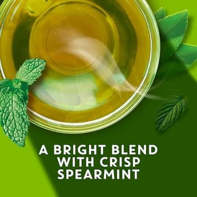 TAZO Organic Zen Green Tea, Green Tea Zen for Health and Wellness, 144 Total Tea Bags (36ct - Pack of 4) - Image 6