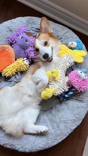 Nocciola Small Medium Large Dog Toys, Cute Soft Squeaky Crinkle Plush Stuffed Durable Pet Teething Animal Chew Toys for Small to Large Breed, Cognitive Stimuting Boredom Puppy Busy Birthdays Gifts - Image 9
