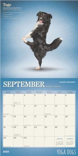 Yoga Dogs OFFICIAL | 2025 12 x 24 Inch Monthly Square Wall Calendar | Plastic-Free | BrownTrout | Animals Humor Pets - Image 4