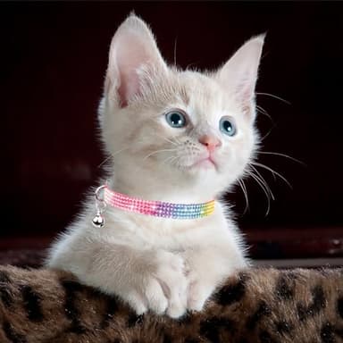 Cat Collar with Bell, MUZIEBA Breakaway Safe Pet Collar Kitty Necklace for Small Dogs Cat Kitten Bling Rhinestone Girl Boy Adjustable Length(1pcs), Black, 25cm-32cm (8in - 13 in) - Image 3
