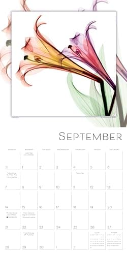 Flower Spirits 2025 Wall Calendar — Radiographs of Nature by Steven N. Meyers, 12" x 12" - Image 5