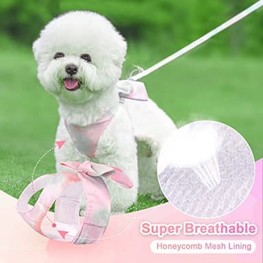 PETCARE Cute Bow Tie Dog Harness and Leash Set Elegant Rainbow Gradient Puppy Harness No Pull Soft Mesh Pet Cat Dog Vest Harnesses for Small Dogs Cats, Pink - Image 4