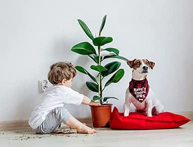 YHTWIN Funny Cute Red Plaid Cotton Triangle Pet Dog Bandanas, Baby's Guard Security Dog Scarf Accessories Props Decorations, Dog Birthday Party Photograph Props for Pet Lovers Owner Gift - Image 4
