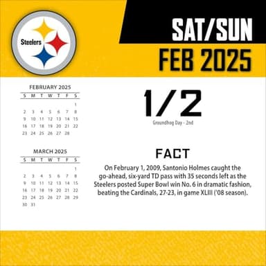 Turner Sports Pittsburgh Steelers 2025 Box Calendar (25998053054) - Image 4