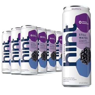Hint Fruit-Infused Canned Water, Blackberry - Purified Flavored Water with Zero Calories, Natural Flavors, and Sugar Free - 12 Fl Oz Cans (Pack of 12) - Image 1