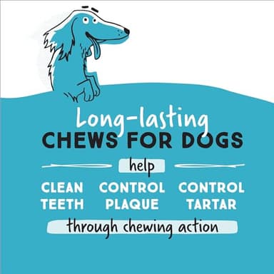 Ultra Chewy Double Treat Bones: Long-Lasting Dog Treats Made in USA for Large and Small Breeds, Highly Digestible, Ideal for Aggressive Chewers (Bacon & Cheese, 2 Value Packs) - Image 2