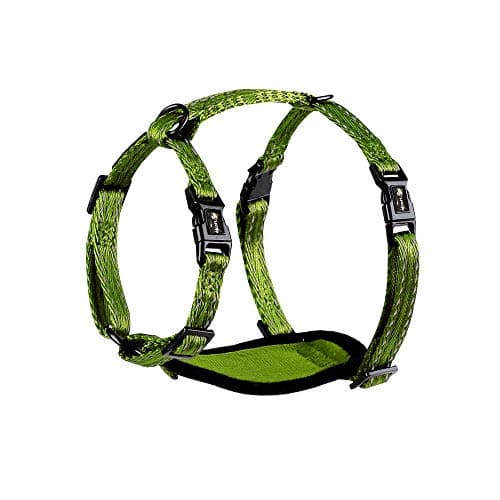 alcott Adventure Harness Extra Small, Green (HNS AH XS GR)