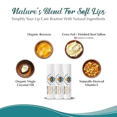 Moisturizing Tallow Lip Balm – Grass-Fed Beef Tallow with Organic Coconut Oil, Beeswax, and Vitamin E – Unscented Lip Balm Set – Travel Essential - 3-Pack - Image 5