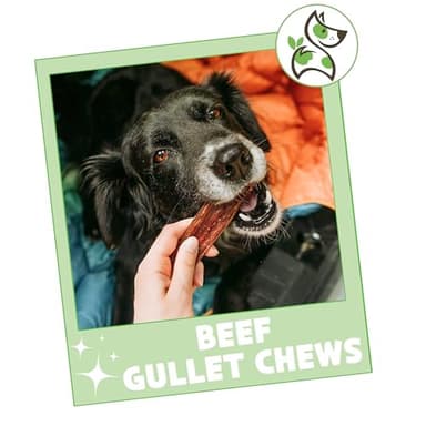 Nature Gnaws Beef Gullet Chews for Small Dogs 4-5" (20 Count) - Natural Beef Jerky Stick Dog Chew Treats - Rawhide Free - Image 7