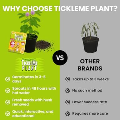 TickleMe Plant Seeds for Indoor Planting (2-Pack) – Interactive Party Favor | Leaves Close When Touched, Reopen in Minutes – Easy Indoor House Plant Seeds, Can Flower, Includes 10 Fun Activities - Image 4