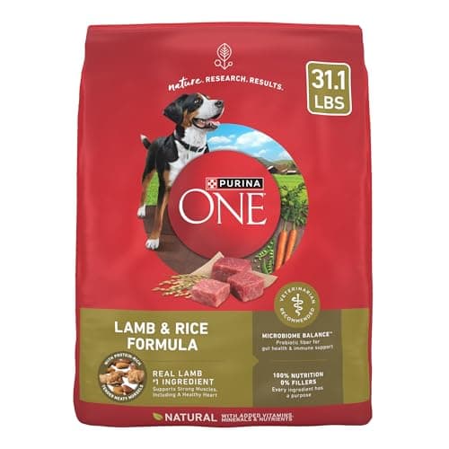 Purina ONE Dry Dog Food Lamb and Rice Formula - 31.1 lb. Bag - Image 1
