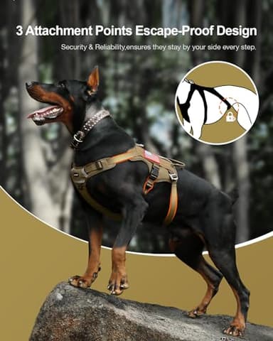 FAYOGOO Tactical Dog Harness for Large Dogs - Mesh Breathable Dog Harness Escape Proof with Handle - No Pull Military Service Dog Vest with Removable Patches for Walking,Training,Hiking - Image 2