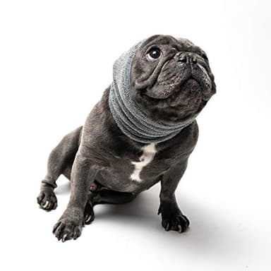 Pet Hoodz PHMG Pet Hoodies, Grey - Medium - Image 2