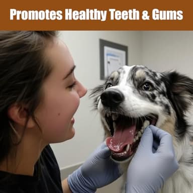 SPOT Bam-Bones Plus T Bone - Bamboo Fiber & Nylon Dog Chew Toy for Moderate to Aggressive Chewers, Non-Splintering, Long-Lasting, 7in Beef Flavor, for Adult Dogs & Teething Puppies Under 90lbs - Image 7