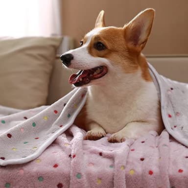 Luciphia 1 Pack 3 Blankets Super Soft Cute Dot Pattern Pet Blanket Flannel Throw for Dog Puppy Cat Small(23x16), Brown - Image 6