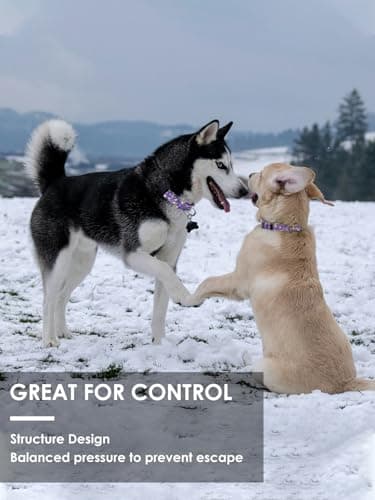 JOOCPUP Martingale Collar for Dogs with TAG Ring, Adjustable Soft Nylon Dog Collars with Buckle Heavy Duty for Small, Medium & Large Dogs (Purple Flower,M) - Image 4