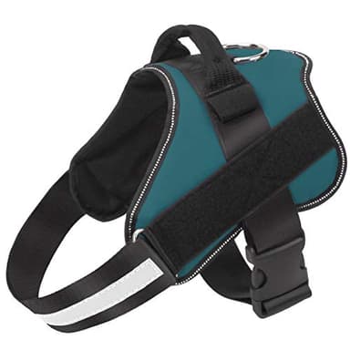 Bolux Dog Harness, No-Pull Reflective Dog Vest, Breathable Adjustable Pet Harness with Handle for Outdoor Walking - No More Pulling, Tugging or Choking (Turquoise, S) - Image 1