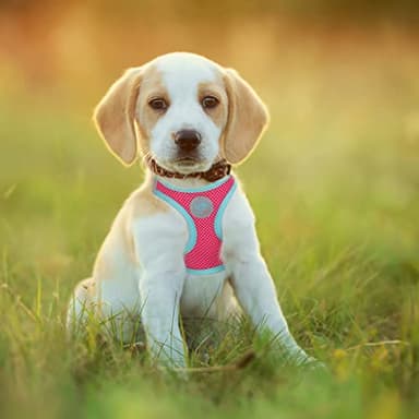 PHOEPET Step-in Dog Harness,Reflective Adjustable Dog Vest Harness, Soft Pet Walking Jacket with 2 Metal Leash Hooks for Dog and Cat(Pink Base & Green Straps,L) - Image 3